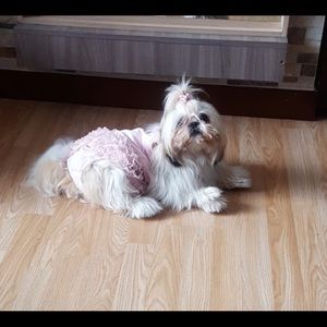 Meet your Posher, Luisa